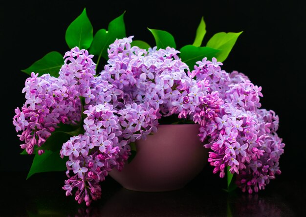 Bouquet of lilac flowers in a lilac vase on a black background