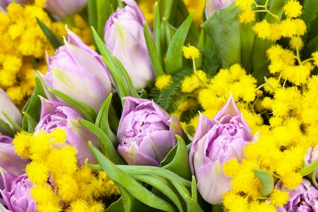 Bouquet of lilac tulips and yellow mimosas, macro, side view, closeup