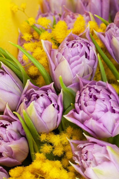 Bouquet of lilac tulips and yellow mimosas on yellow wall, macro, closeup.