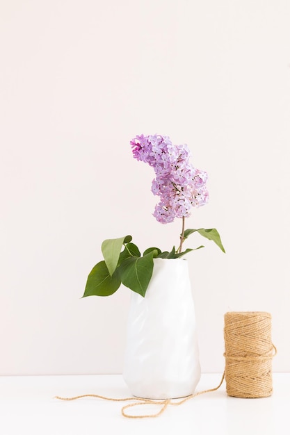 Bouquet of Lilacs in a Glass Vase isolated on white Branch with Lilac Flowers