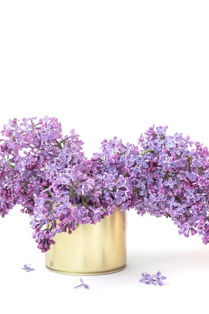 Bouquet of lilacs in an iron can on a white background