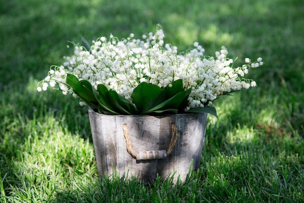 Bouquet of lilies of the valley in a basket. floral background with places for your text