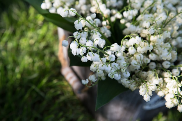 Bouquet of lilies of the valley in a basket. floral background with places for your text