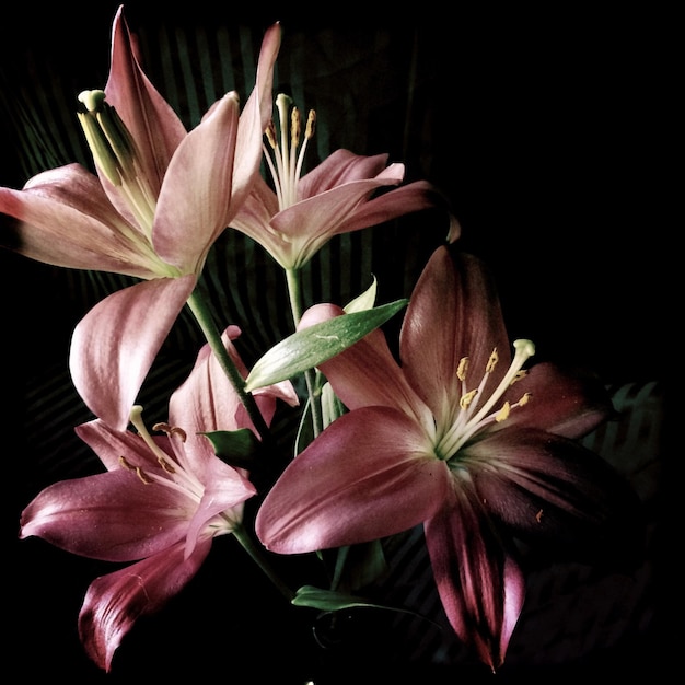 a bouquet of lilies