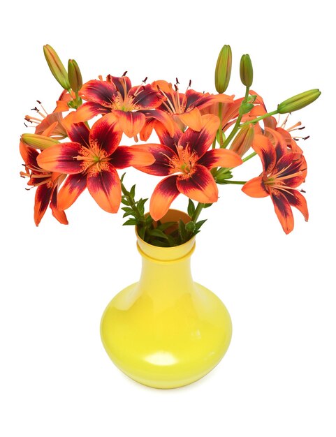Bouquet of lily tiger color in a vase isolated on white background