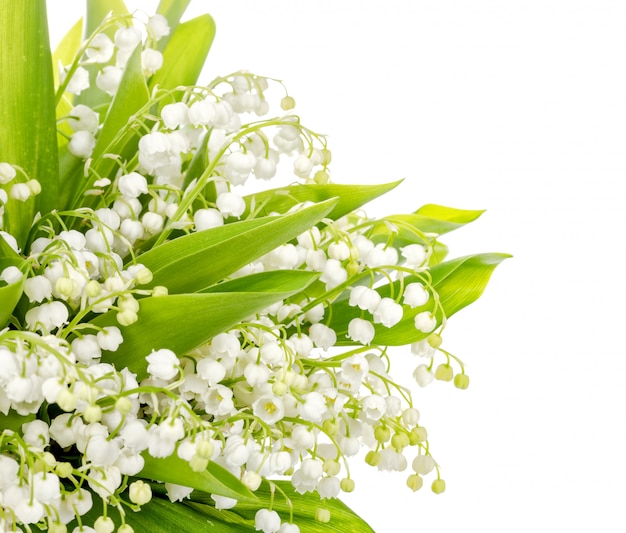 Bouquet of lily of the valley