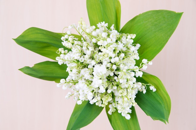 Bouquet of lily of the valley