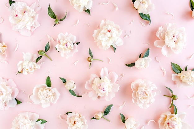 Bouquet of a lot of peonies of pink color close up Flat lay top view Peony flower texture