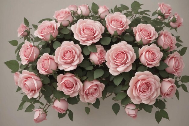Bouquet of lovely pink roses arranged beautifully together