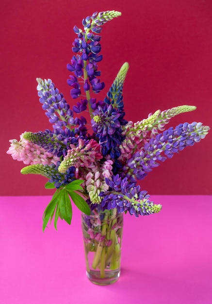 Photo a bouquet of lupines in a vase multicolored summer flowers pink and purple on a bright background lupine buds copy space