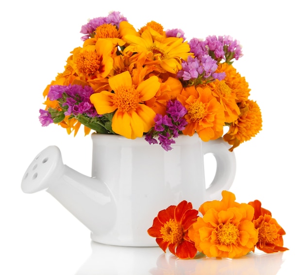 Bouquet of marigold flowers in watering can isolated on white