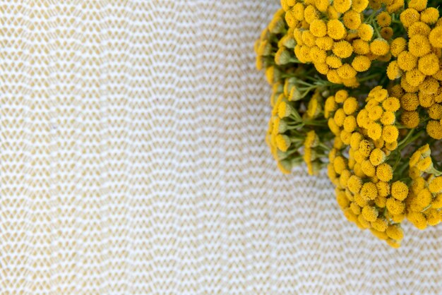 Photo bouquet of mimosa on a white background