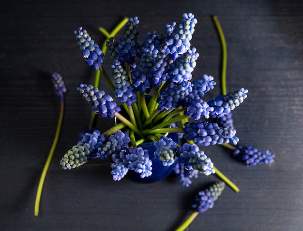 Bouquet of  mouse hyacinths in vase on a table