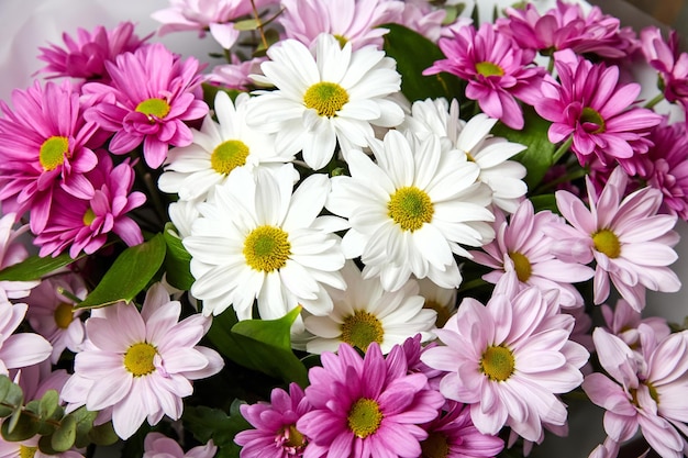 A bouquet of multicolored chrysanthemums