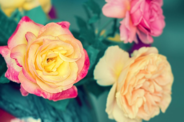 Bouquet of multicolored roses