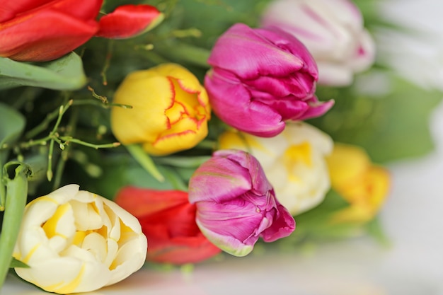 Bouquet of multicolored tulips