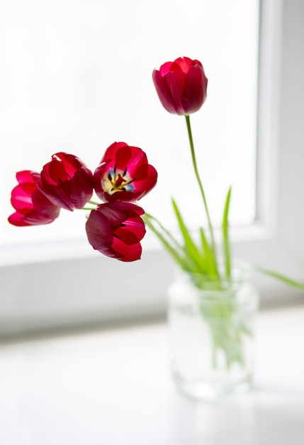 Фото Букет красивых розовых тюльпанов в стеклянной банке на окне с красивым светом