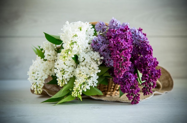 写真 さまざまな色の美しい春のライラックの花束