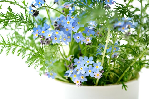 青い水彩忘れな草の花の分離 プレミアムベクター