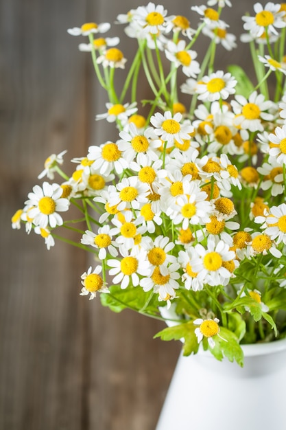 写真 ヒナギクの花束