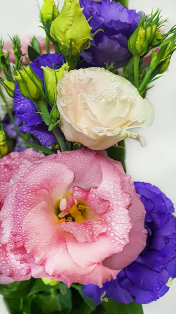 写真 色とりどりのトルコギキョウ ピンクとライラックの花束、明るい背景に白い花