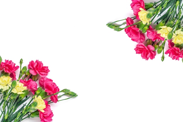 흰색 배경에 고립 된 핑크 카네이션 꽃의 꽃다발 상위 뷰 평면 누워 휴일 카드 3월 8일