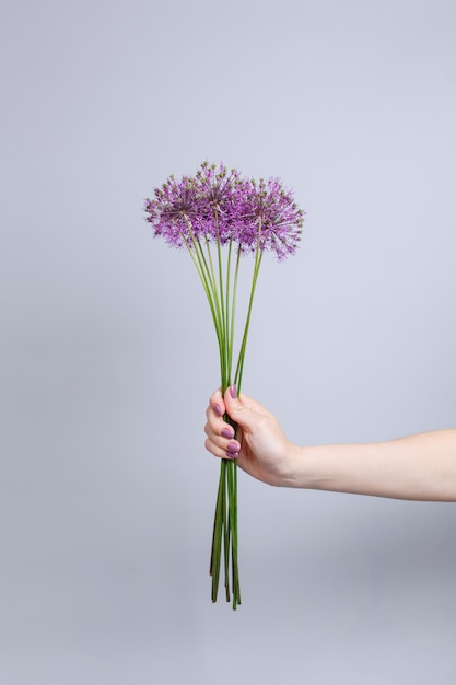 写真 テキストのコピースペースと灰色の背景で隔離の手で背の高い茎にピンクの花の花束