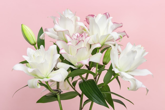 写真 白いユリの花の花束、牡丹ユリをクローズアップ