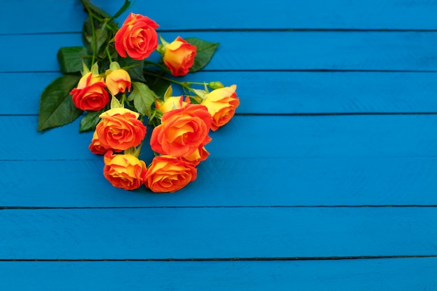 bouquet of  orange roses on blue 