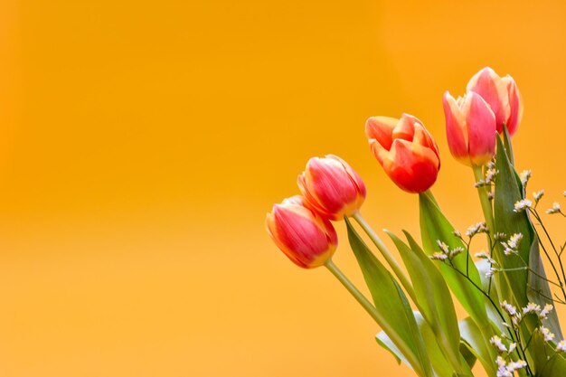 Bouquet of orange tulips flowers on yellow background with copy space