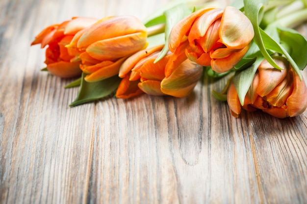 Bouquet of orange tulips 