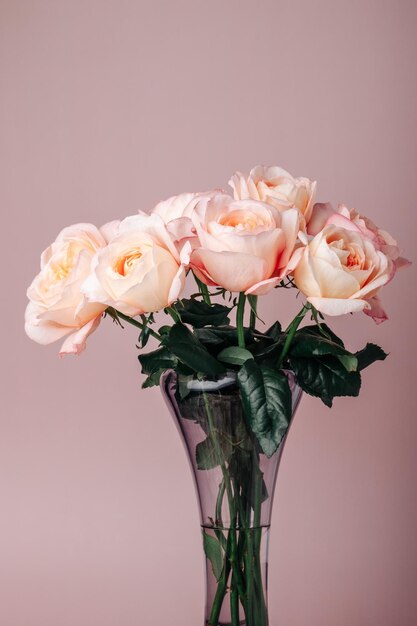 Bouquet of pale pink peony roses on a pink background