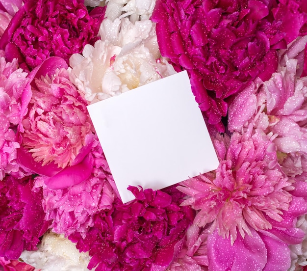 A bouquet of peonies and a note inside Spring violet flowers