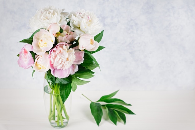 Bouquet of peonies in a vase closeup on pastel wall