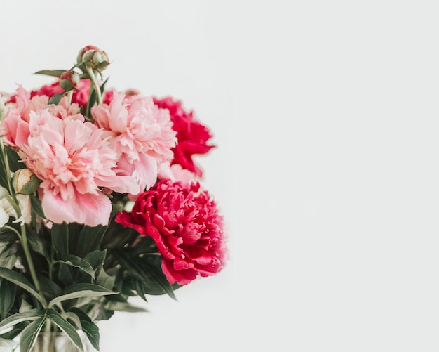 bouquet of peonies on a white background