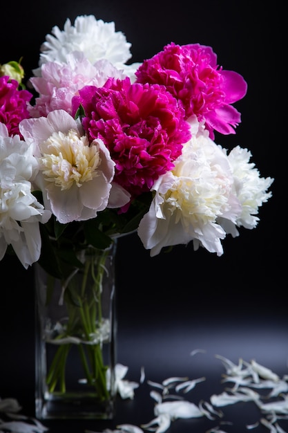 Bouquet of peonies with water drops. Close-up, selective focus.