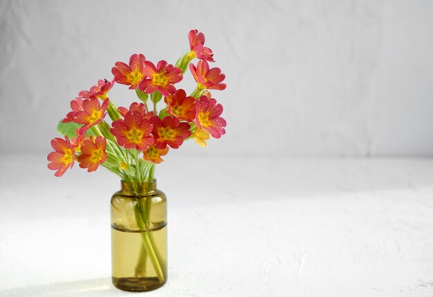 a bouquet of petunia flowers in a small flask on a white background