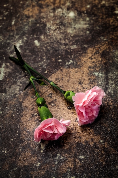 Bouquet of pink carnations flowers 