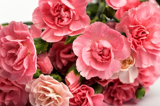 Bouquet of pink carnations flowers 