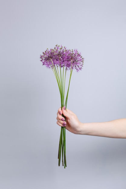 テキストのコピースペースと灰色の背景で隔離の手で背の高い茎にピンクの花の花束