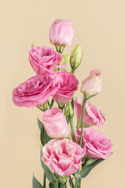 Bouquet di fiori di lisianthus rosa