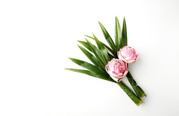 Bouquet of pink lotus