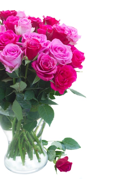유리 꽃병에 분홍색과 자홍색 신선한 장미 꽃다발 가까이에 고립 된 흰색 배경