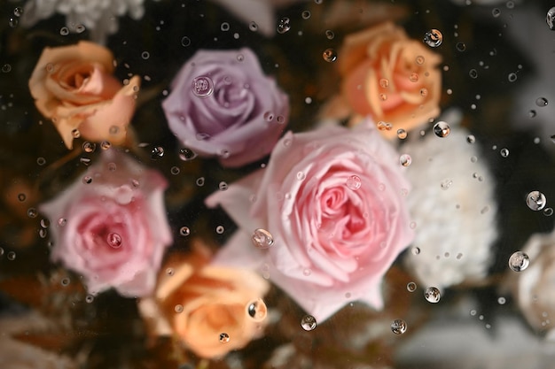 Bouquet of pink and orange roses under transparent blurred foggy glass Textiles paper and floral botanical wallpaper