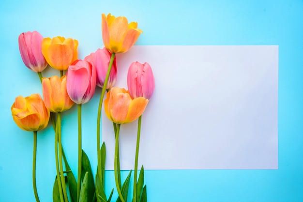 Bouquet of pink and orange tulips and a piece of paper background