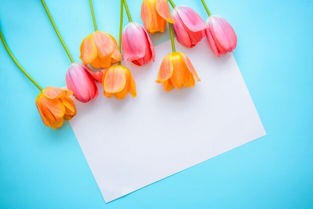 Букет из розовых и оранжевых тюльпанов и лист бумаги на синем фоне