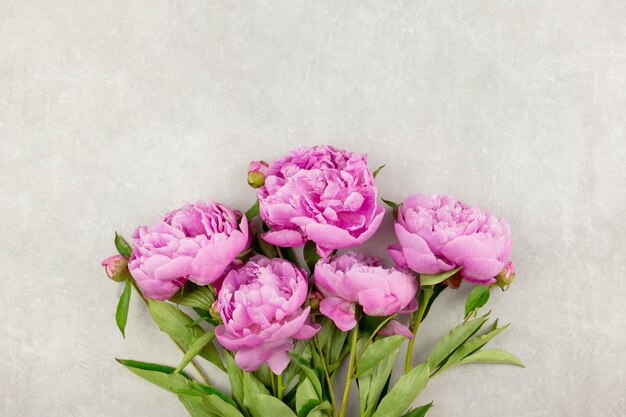 Bouquet of pink peonies flowers on light gray concrete background Valentine39s womens mothers day easter birthday or wedding spring holiday flat lay Top view Copy space