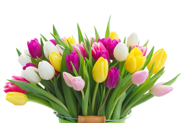 Bouquet of pink purple and white tulips