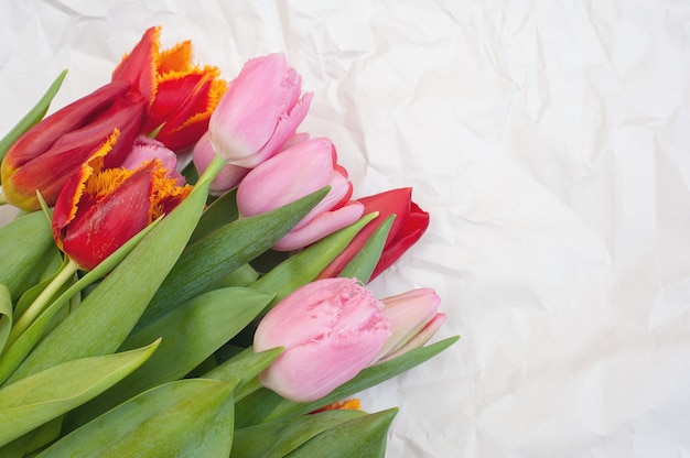 Букет из розовых и красных тюльпанов на белой мятой бумаге