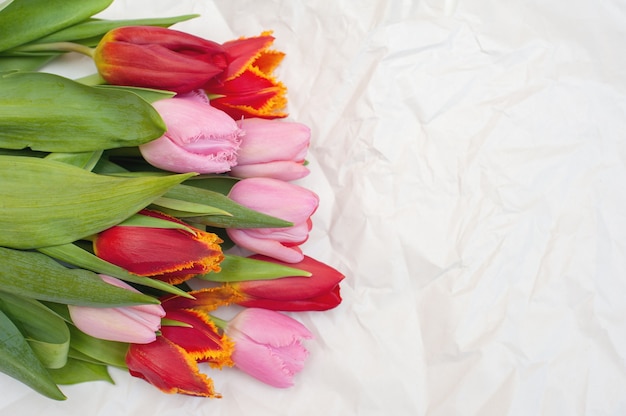 Bouquet of pink and red tulips on a white paper crumpled